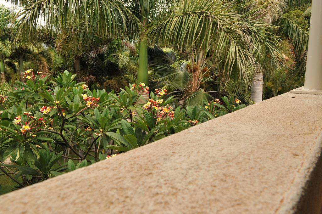 Aloha Aku Inn & Suites Kihei Rum bild